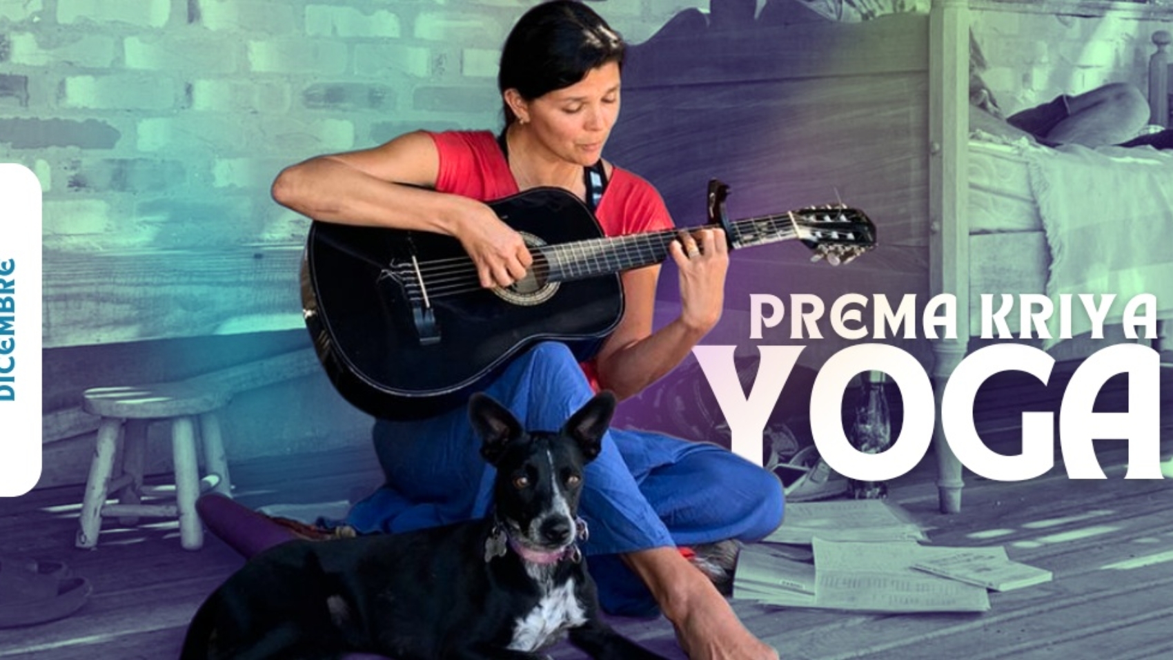 PREMA - Newsletter dezembro 25